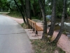 boulder-creek-trail-11