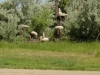 boulder-creek-trail-8
