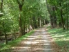c-o-canal-towpath-trail-51