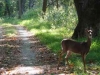 c-o-canal-towpath-trail-69