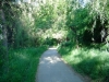 clear-creek-trail-in-colorado-3