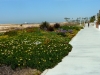 huntington-trail-in-california-6
