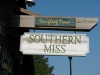longleaf-trace-trail-in-mississippi-1