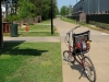 longleaf-trace-trail-in-mississippi-2