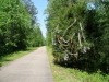 longleaf-trace-trail-in-mississippi-5