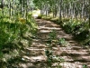 meyers-homestead-trail-in-colorado-3