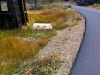 mineral-belt-looptrail-6