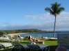 munro-trail-on-lanai-hi-1
