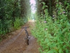 munro-trail-on-lanai-hi-3
