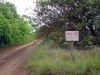 munro-trail-on-lanai-hi-5