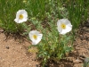new-santa-fe-regional-trail-in-colorado-14