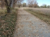 poudre-river-trail-in-colorado-7