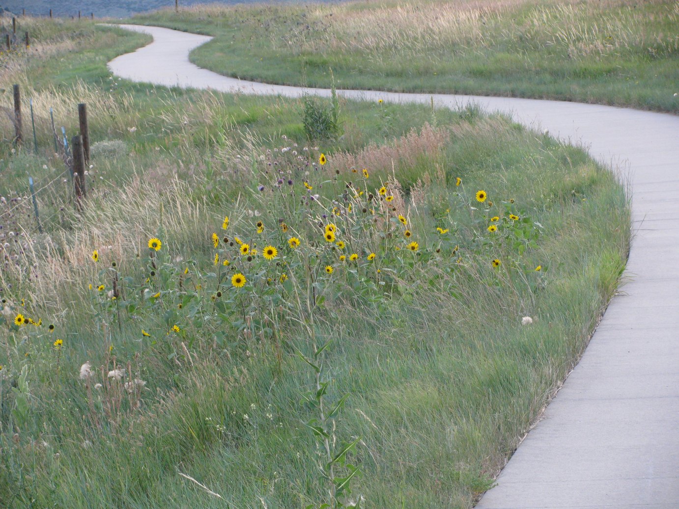 Ralston Creek Trail In Arvada. Colorado