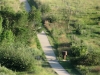 ralston-creek-trail-in-colorado-7
