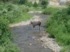 route-of-the-hiawatha-trail-in-idaho-17
