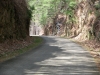silver-comet-trail-in-georgia-4