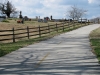 silver-comet-trail-in-georgia-9