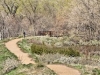 singletree-trail-in-colorado-4