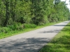 tammany-trace-trail-in-louisiana-7