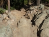 walker-ranch-loop-trail-in-colorado-10