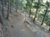 walker-ranch-loop-trail-in-colorado-11