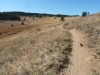 walker-ranch-loop-trail-in-colorado-3