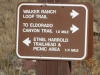 walker-ranch-loop-trail-in-colorado-8