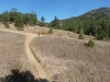 walker-ranch-loop-trail-in-colorado-9