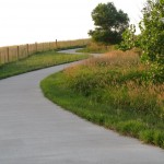 Cement trail meanders through wildflowers.