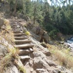 steep Colorado mountain bike trail with rock stair steps