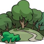 trail through forest