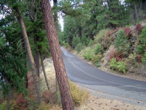 Spokane Centennial Trail in Washington Spokane Centennial trail winds through pine forests